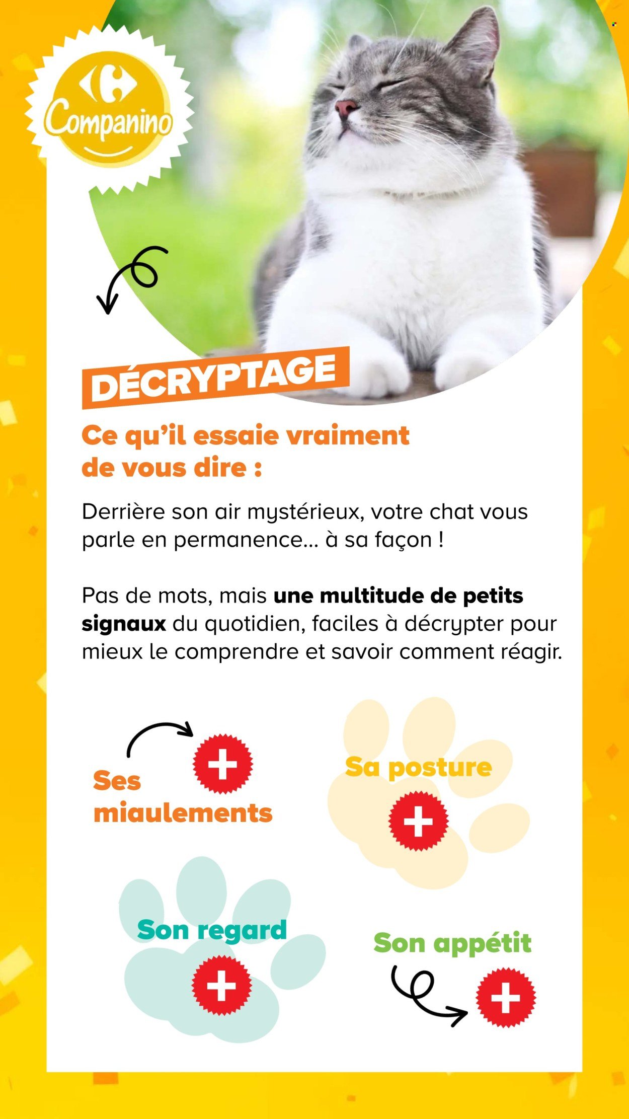 Catalogue CARREFOUR - DÉCOUVREZ LA MARQUE CARREFOUR COMPANINO