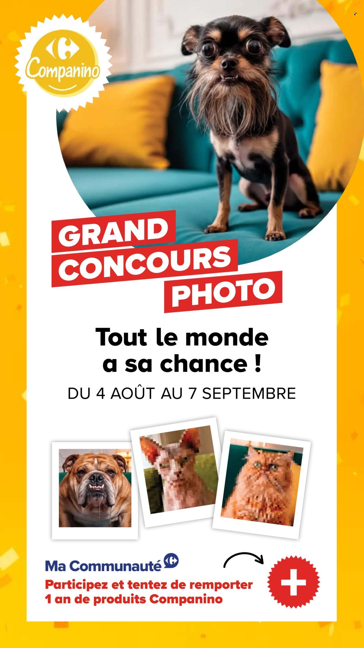 Catalogue CARREFOUR - DÉCOUVREZ LA MARQUE CARREFOUR COMPANINO