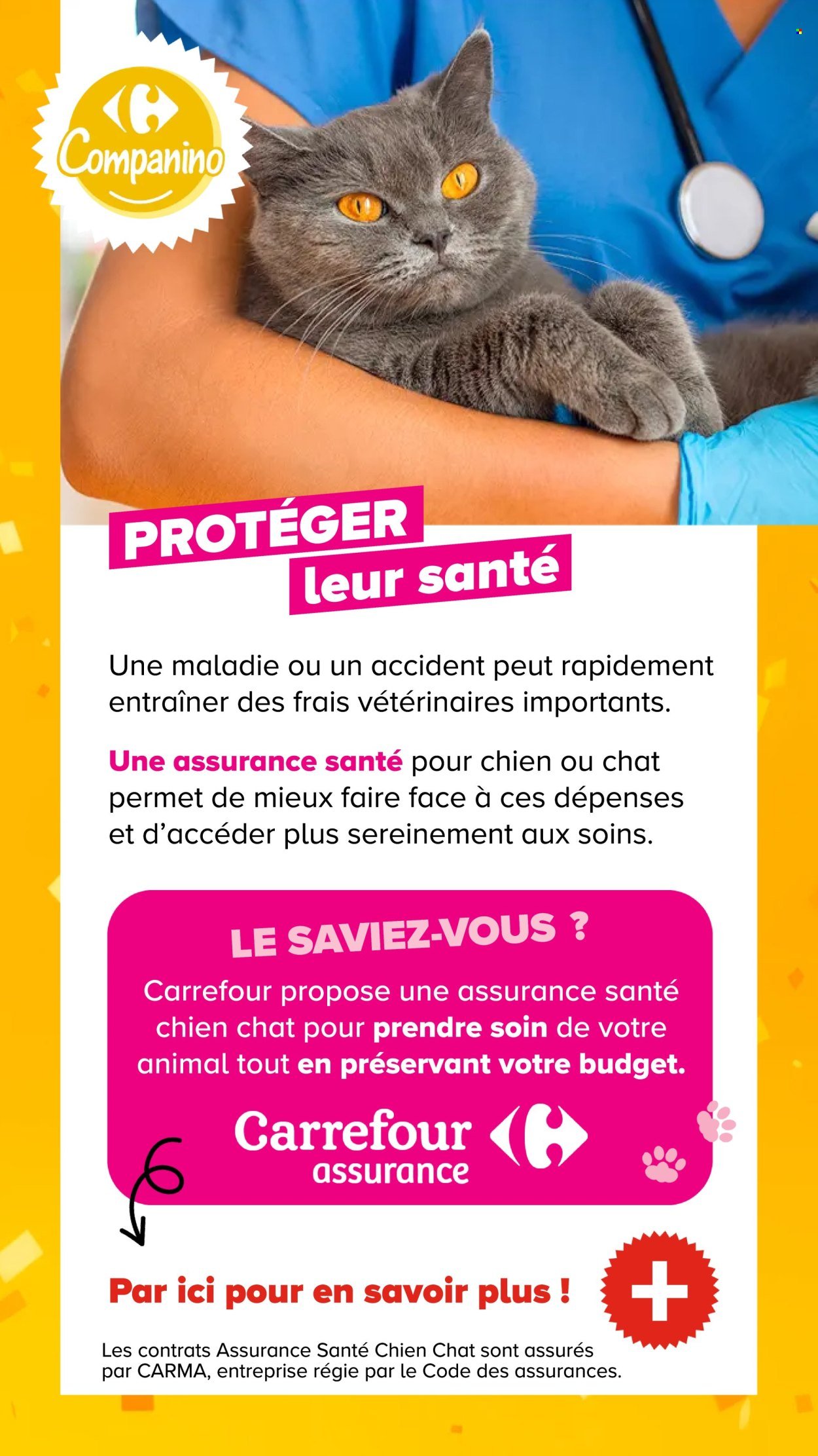 Catalogue CARREFOUR - DÉCOUVREZ LA MARQUE CARREFOUR COMPANINO