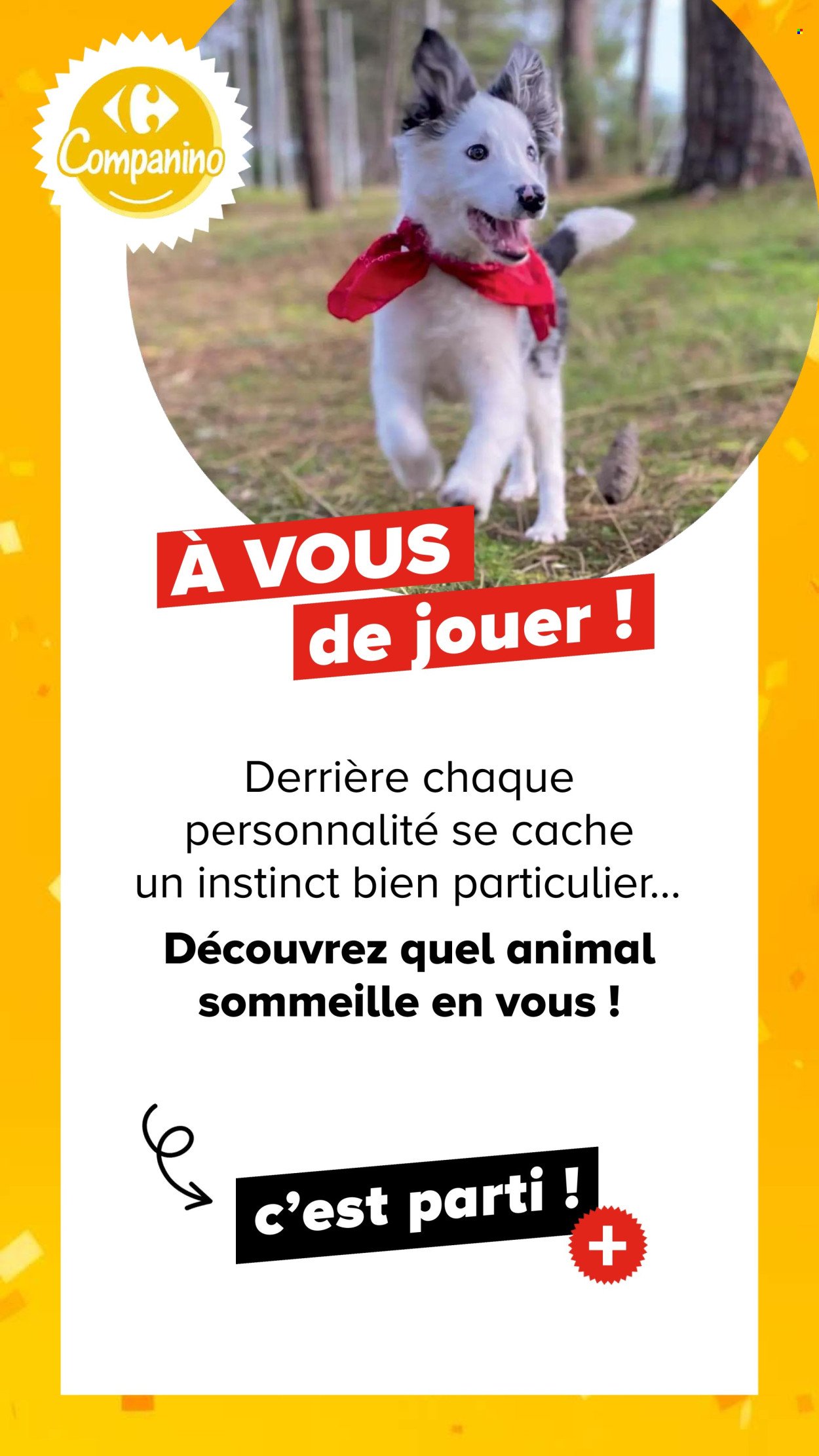 Catalogue CARREFOUR - DÉCOUVREZ LA MARQUE CARREFOUR COMPANINO