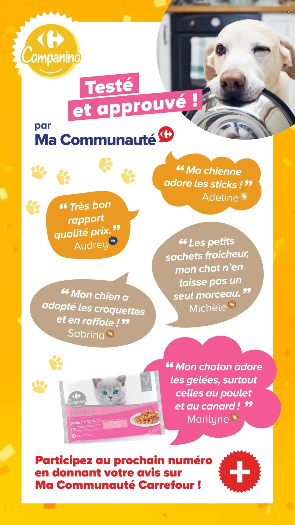 Catalogue CARREFOUR - DÉCOUVREZ LA MARQUE CARREFOUR COMPANINO