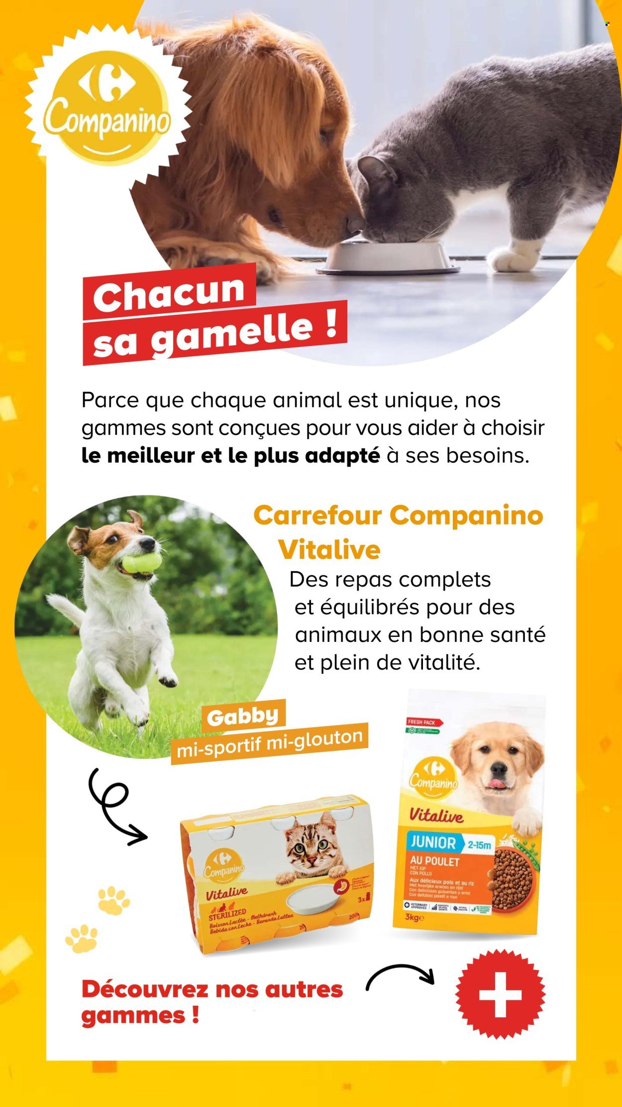 Catalogue CARREFOUR - DÉCOUVREZ LA MARQUE CARREFOUR COMPANINO