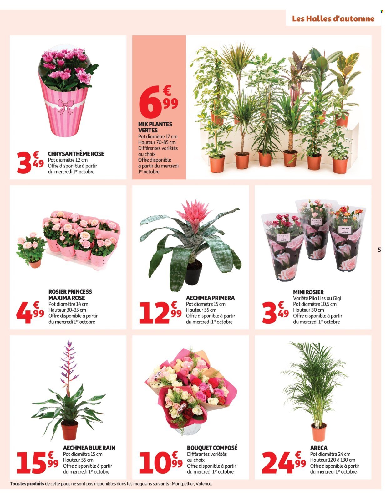 Catalogue AUCHAN - Les Halles d'automne : les prix bas, c'est toujours de saison (2025-09-30 - 2025-10-12)