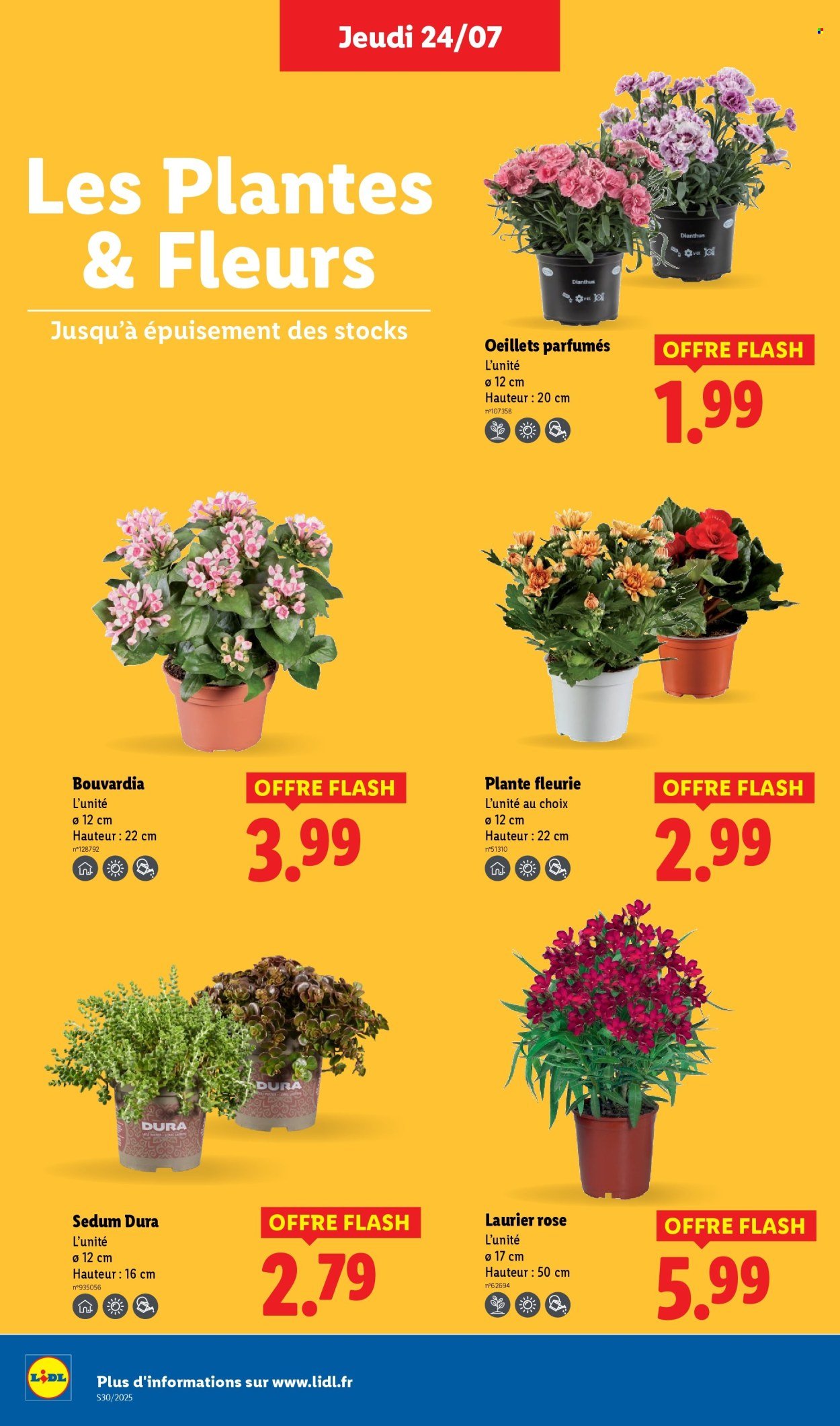 Catalogue LIDL - Les promos de la semaine (2025-07-24 - 2025-07-30)