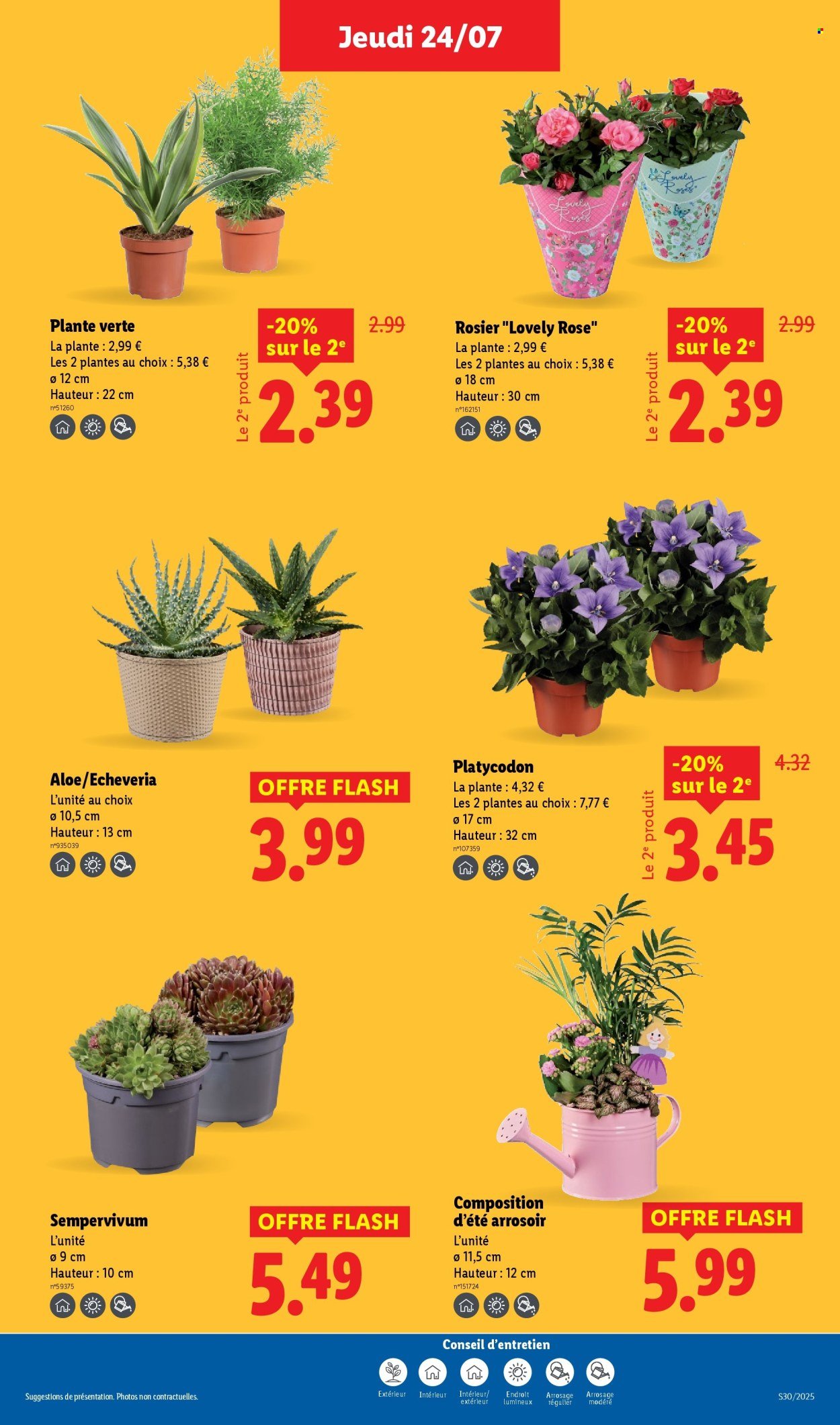 Catalogue LIDL - Les promos de la semaine (2025-07-24 - 2025-07-30)