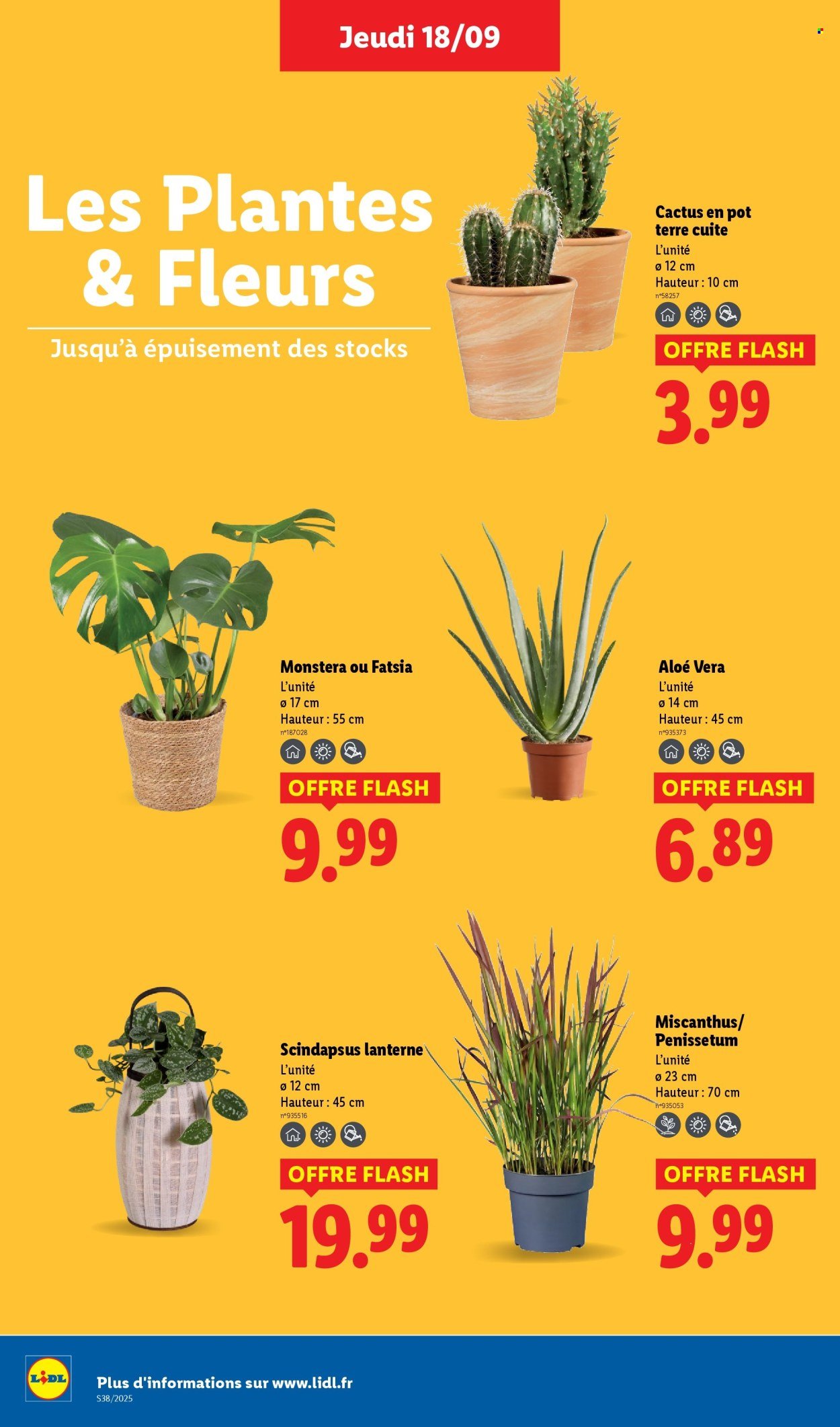 Catalogue LIDL - Les promos de la semaine (2025-09-18 - 2025-09-24)