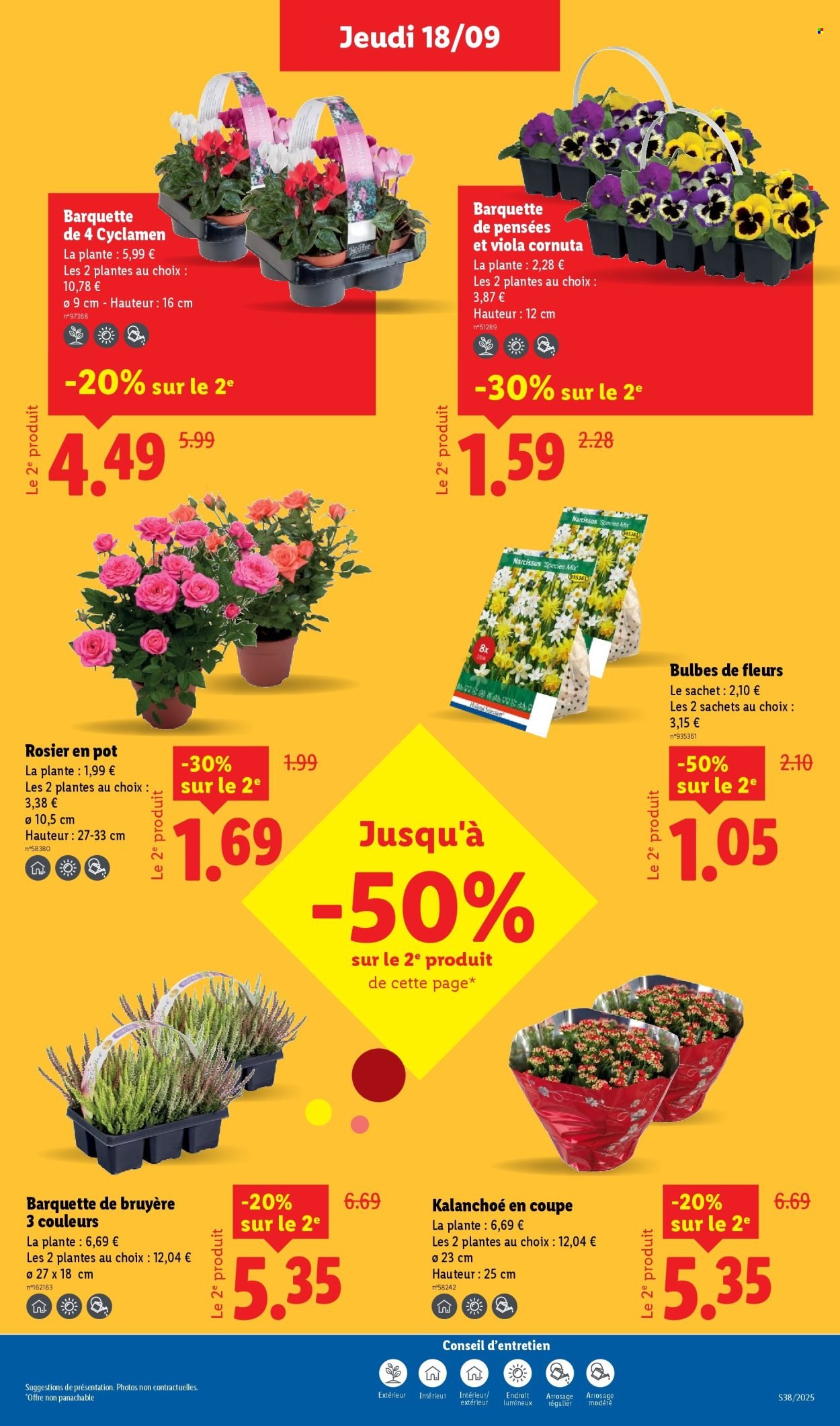 Catalogue LIDL - Les promos de la semaine (2025-09-18 - 2025-09-24)