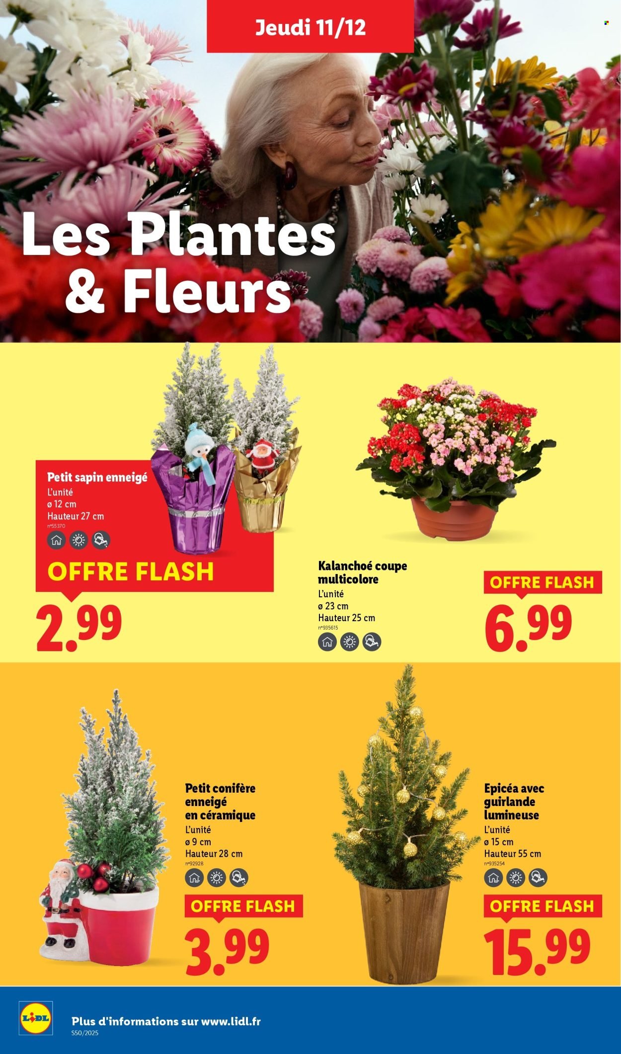 Catalogue LIDL - Les promos de la semaine (2025-12-11 - 2025-12-17)
