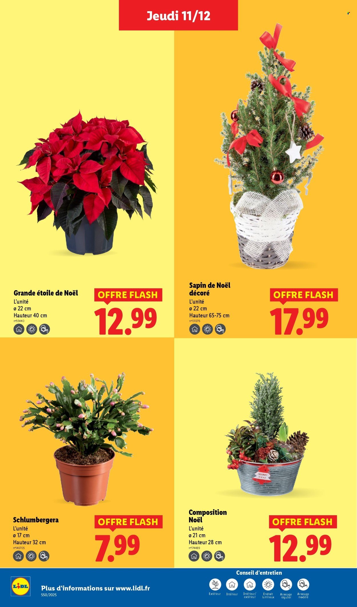 Catalogue LIDL - Les promos de la semaine (2025-12-11 - 2025-12-17)