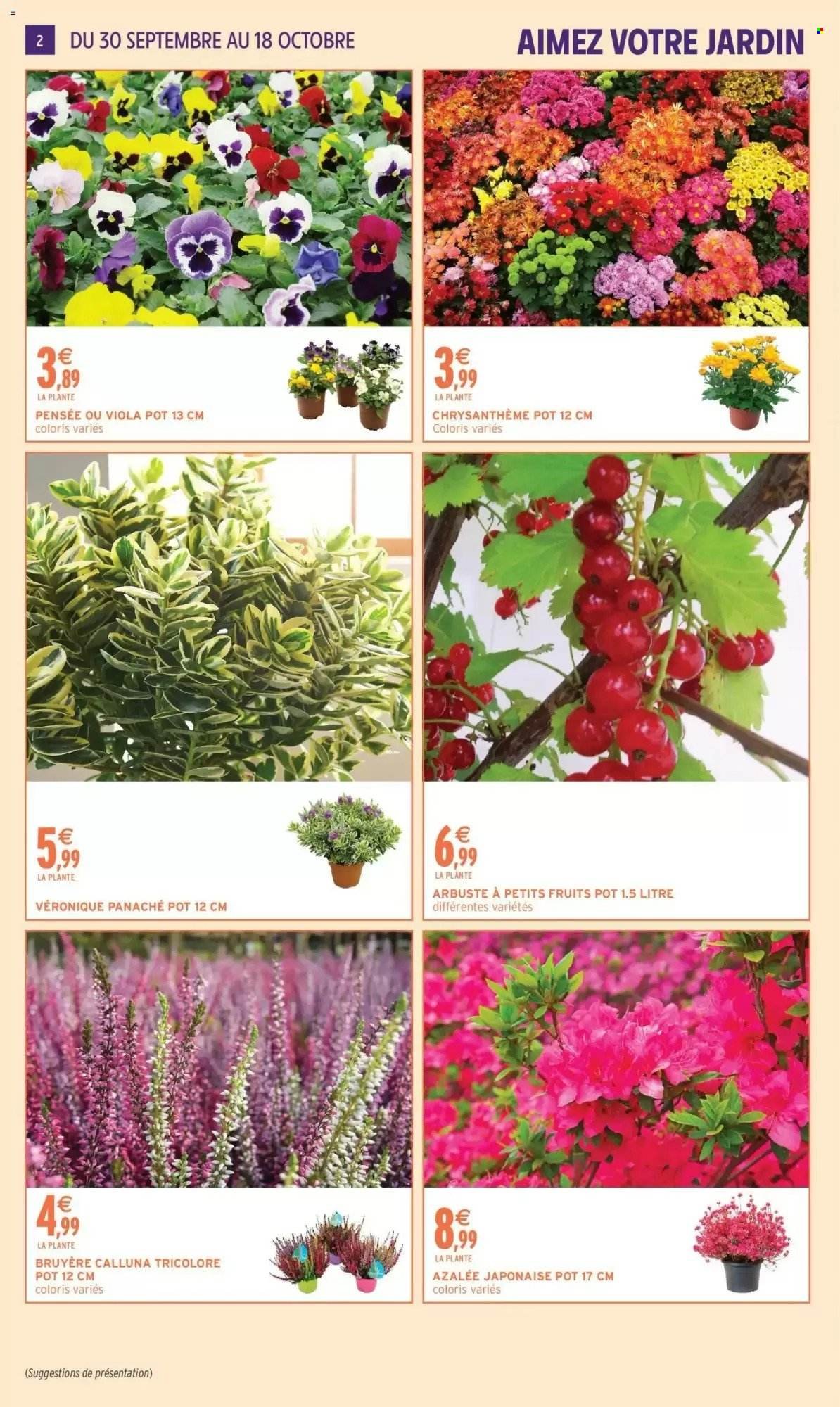 Catalogue INTERMARCHÉ - Jardin d'automne