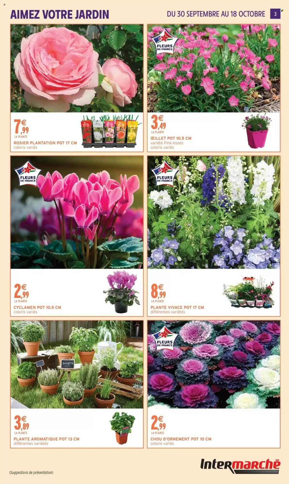 Catalogue INTERMARCHÉ - Jardin d'automne