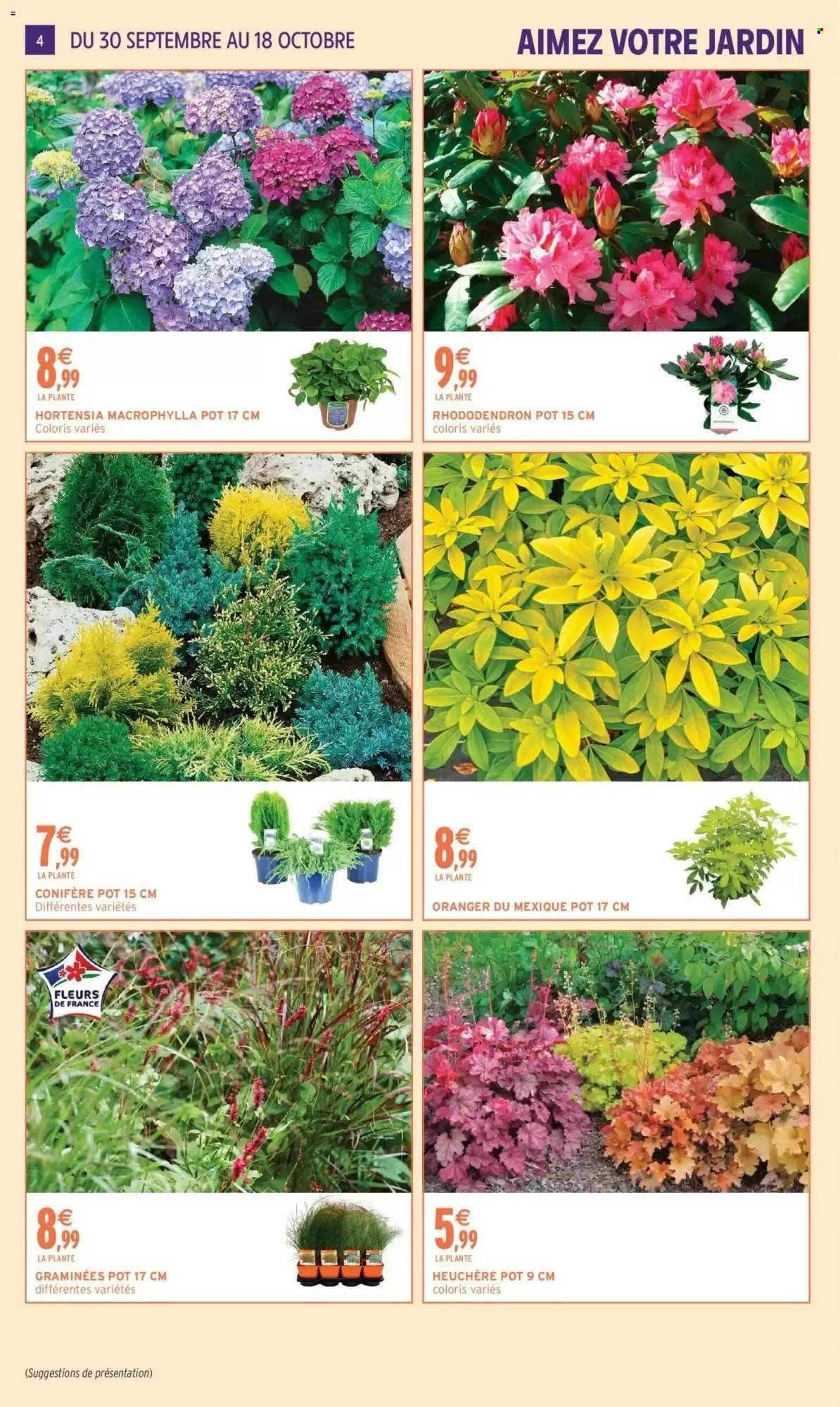 Catalogue INTERMARCHÉ - Jardin d'automne