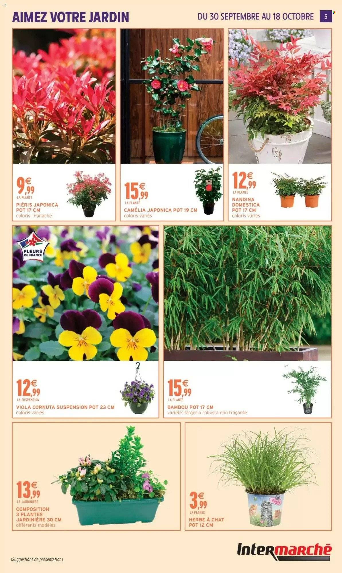 Catalogue INTERMARCHÉ - Jardin d'automne