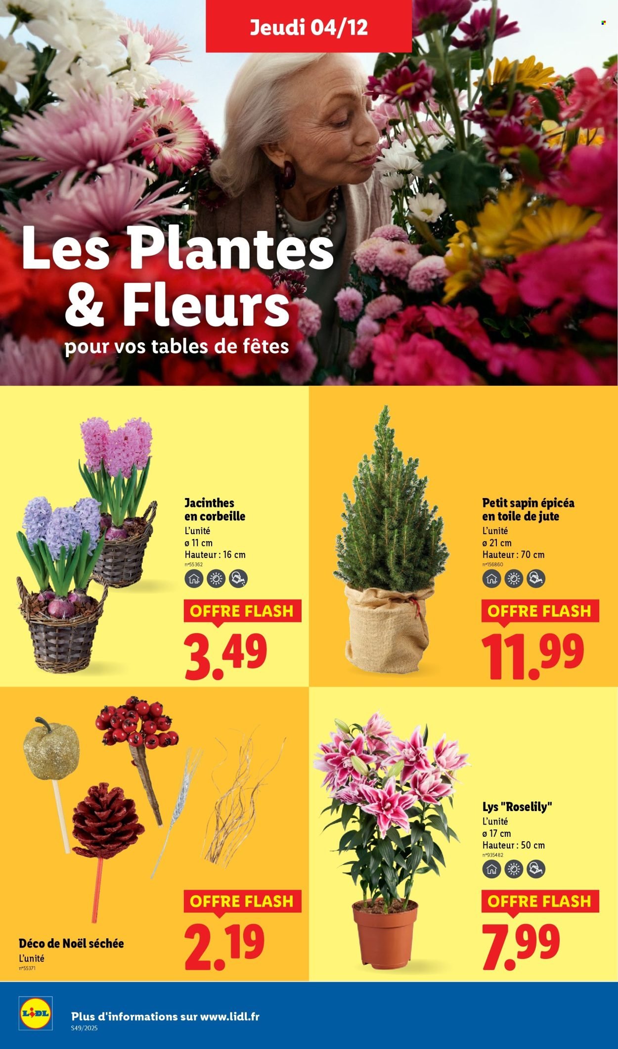 Catalogue LIDL - Les promos de la semaine