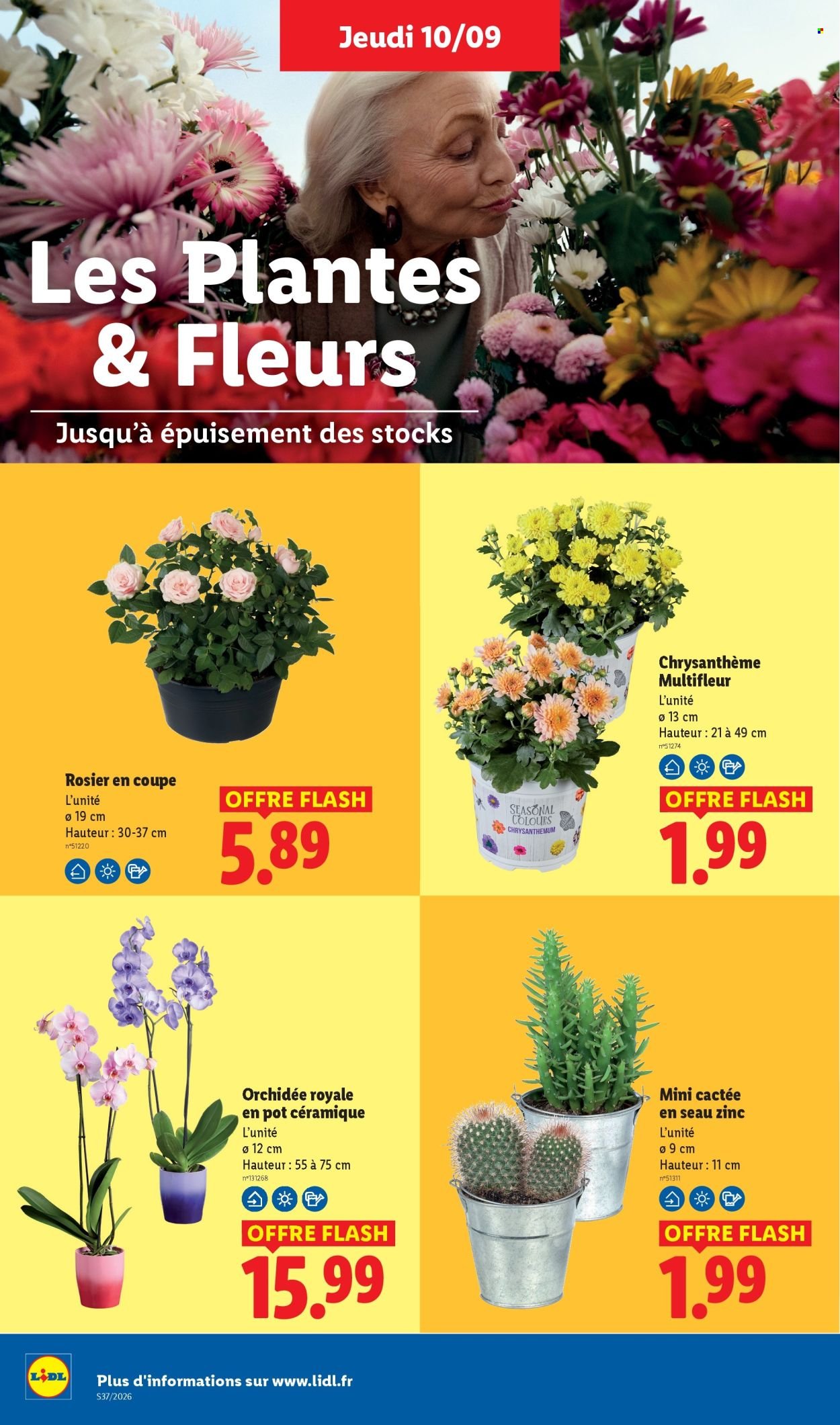 Catalogue LIDL - Les promos de la semaine