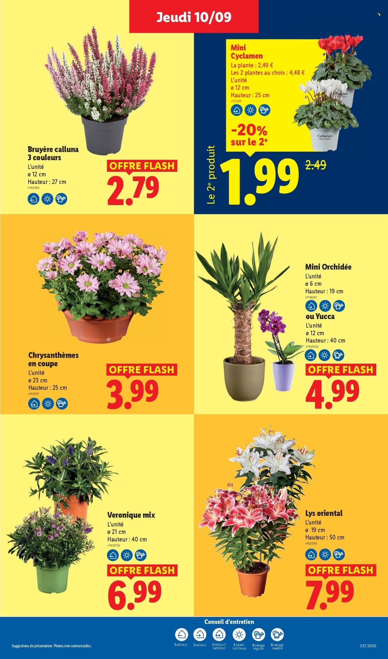 Catalogue LIDL - Les promos de la semaine