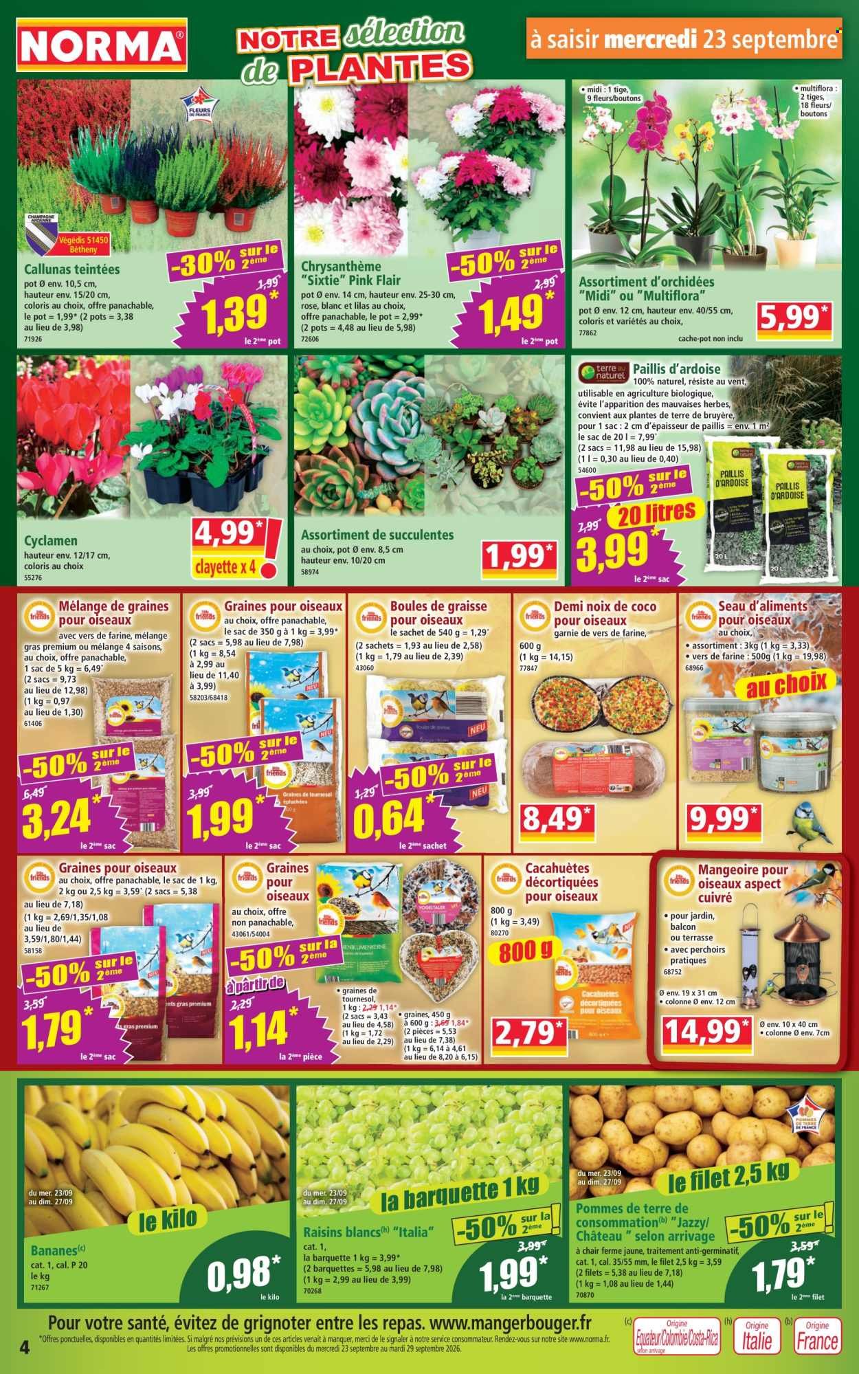 Catalogue NORMA - Du mercredi 23 septembre 2026