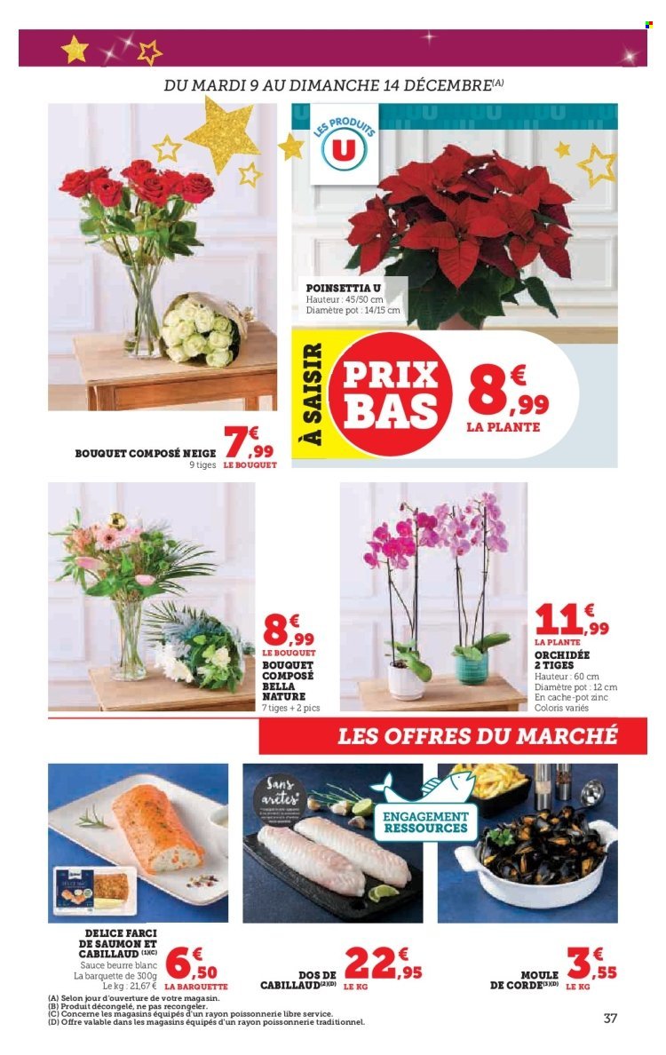 Catalogue SUPER U - Les prix bas de la semaine (2025-12-09 - 2025-12-24)