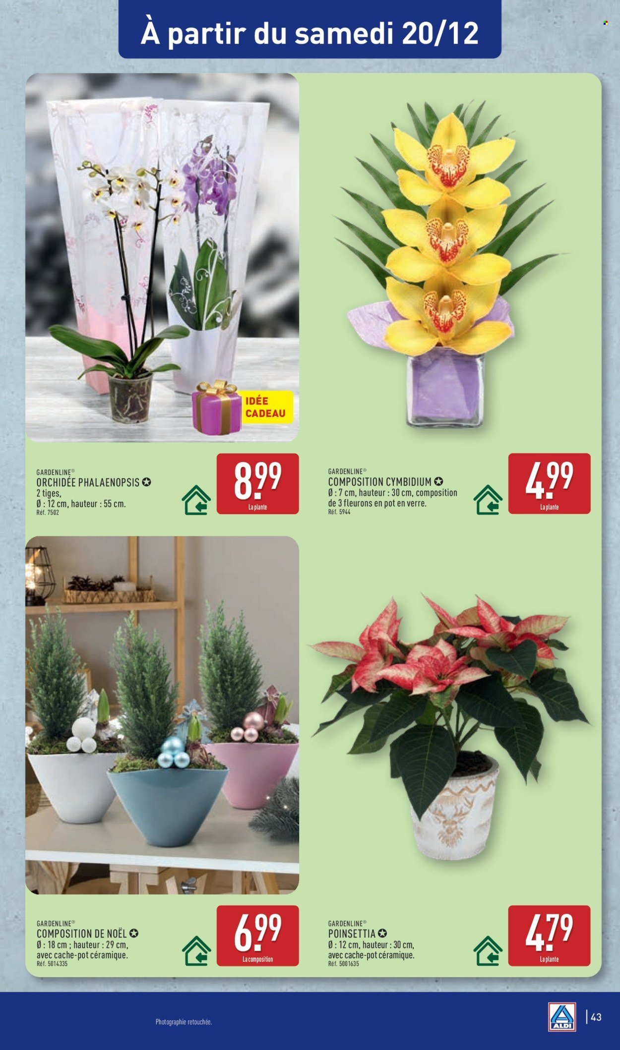 Catalogue ALDI - De bonnes fêtes à prix discount (2025-12-16 - 2025-12-22)