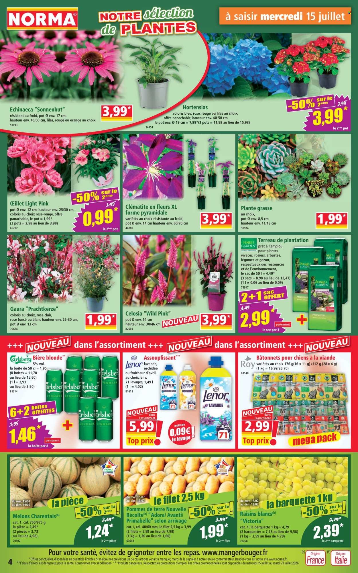 Catalogue NORMA - Du mercredi 15 juillet 2026