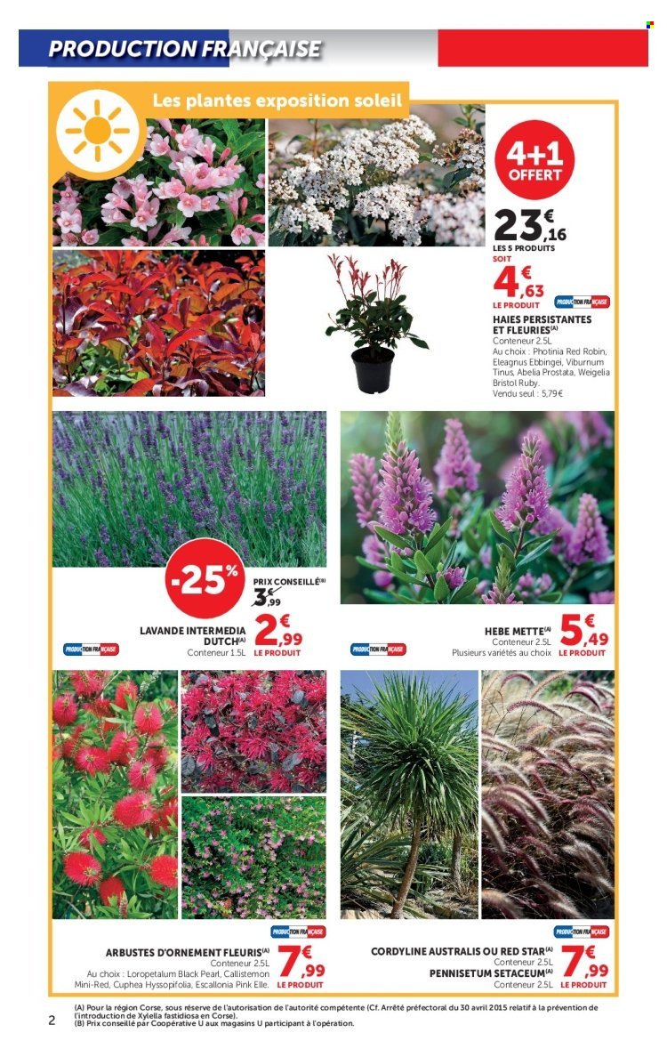 Catalogue SUPER U - Jardin d'automne à prix bas