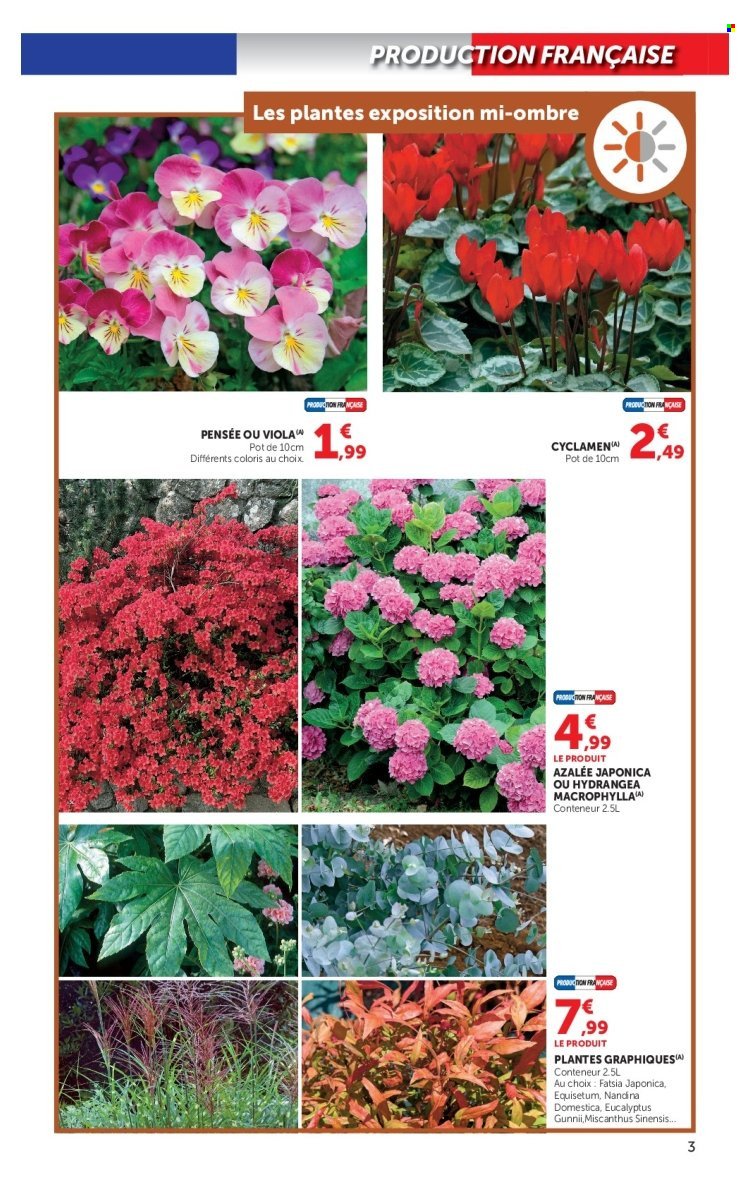 Catalogue SUPER U - Jardin d'automne à prix bas