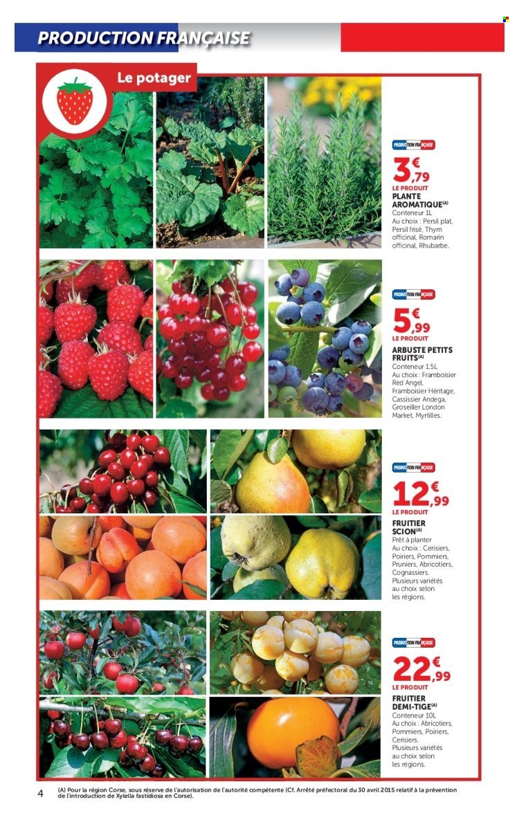 Catalogue SUPER U - Jardin d'automne à prix bas