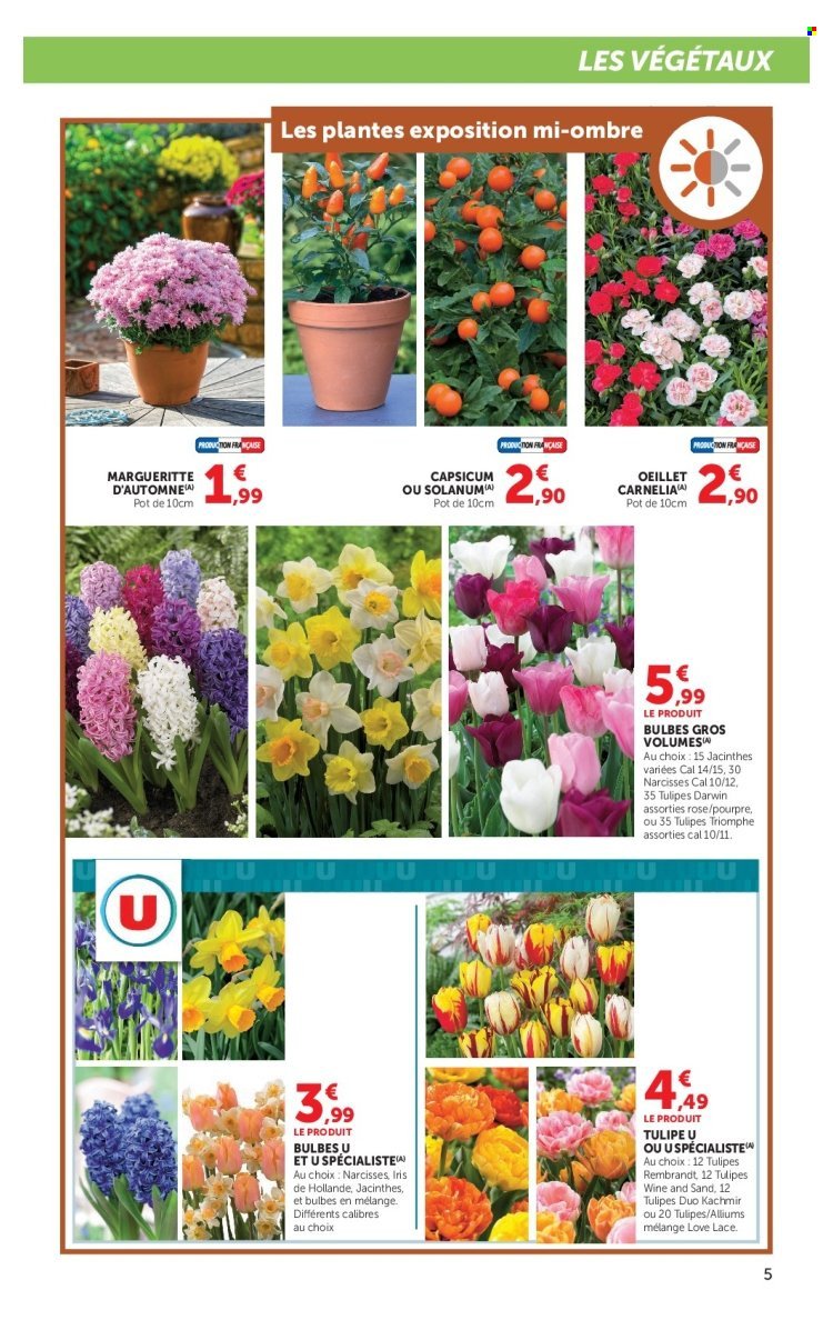 Catalogue SUPER U - Jardin d'automne à prix bas