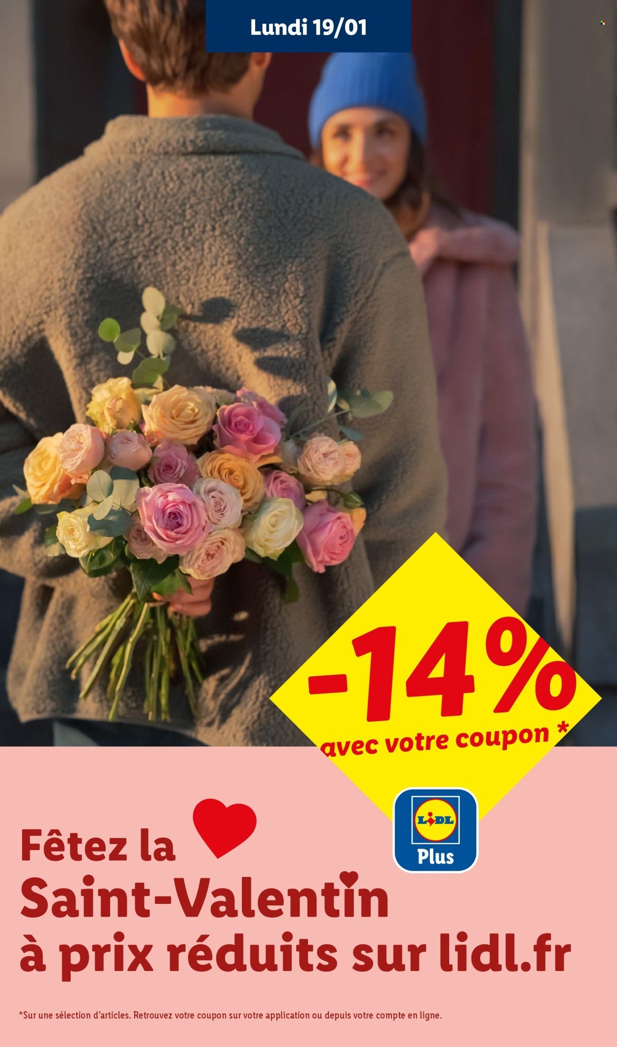 Catalogue LIDL - Les bonnes affaires Exclu Web - Du 12/01 au 15/01