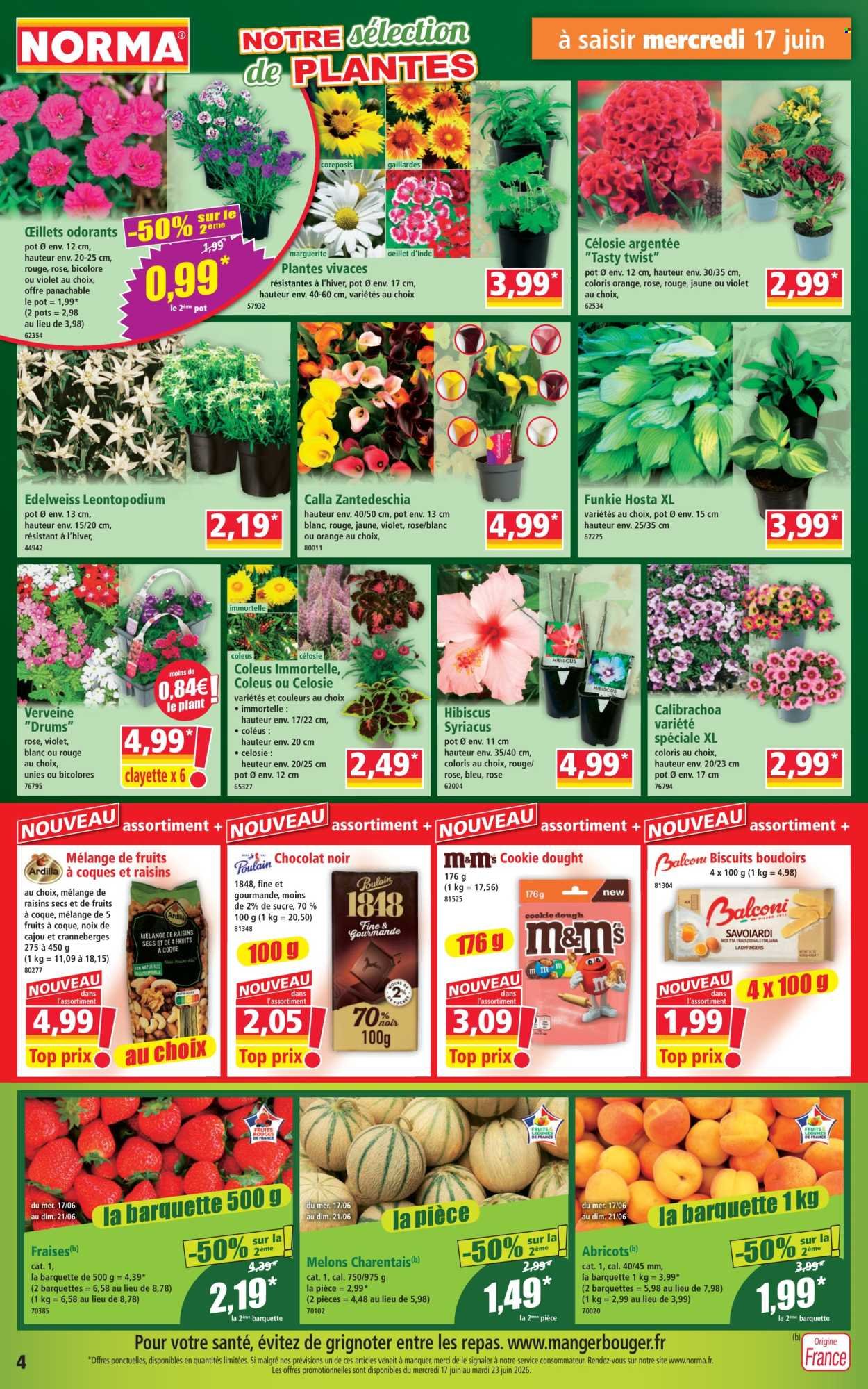 Catalogue NORMA - Du mercredi 17 juin 2026