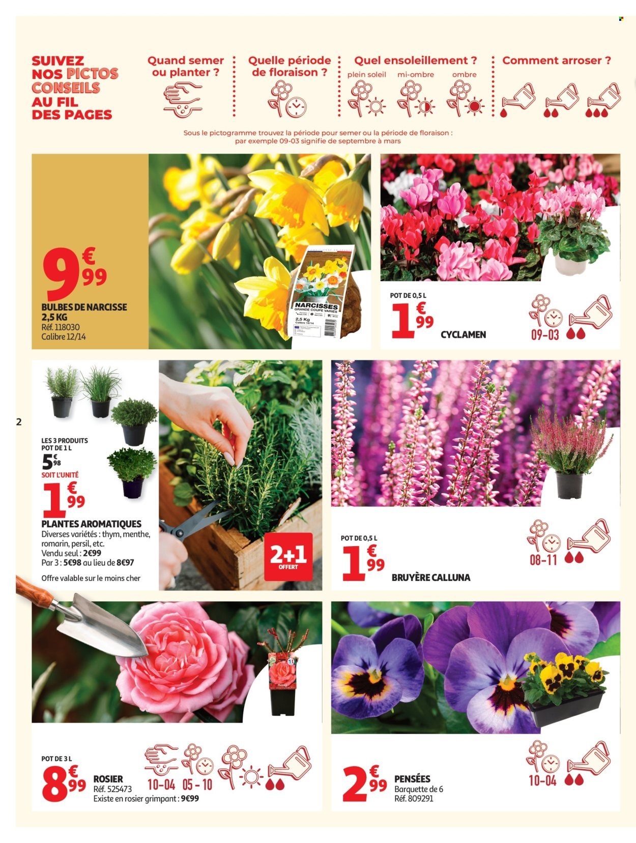 Catalogue AUCHAN - Jardinage automne