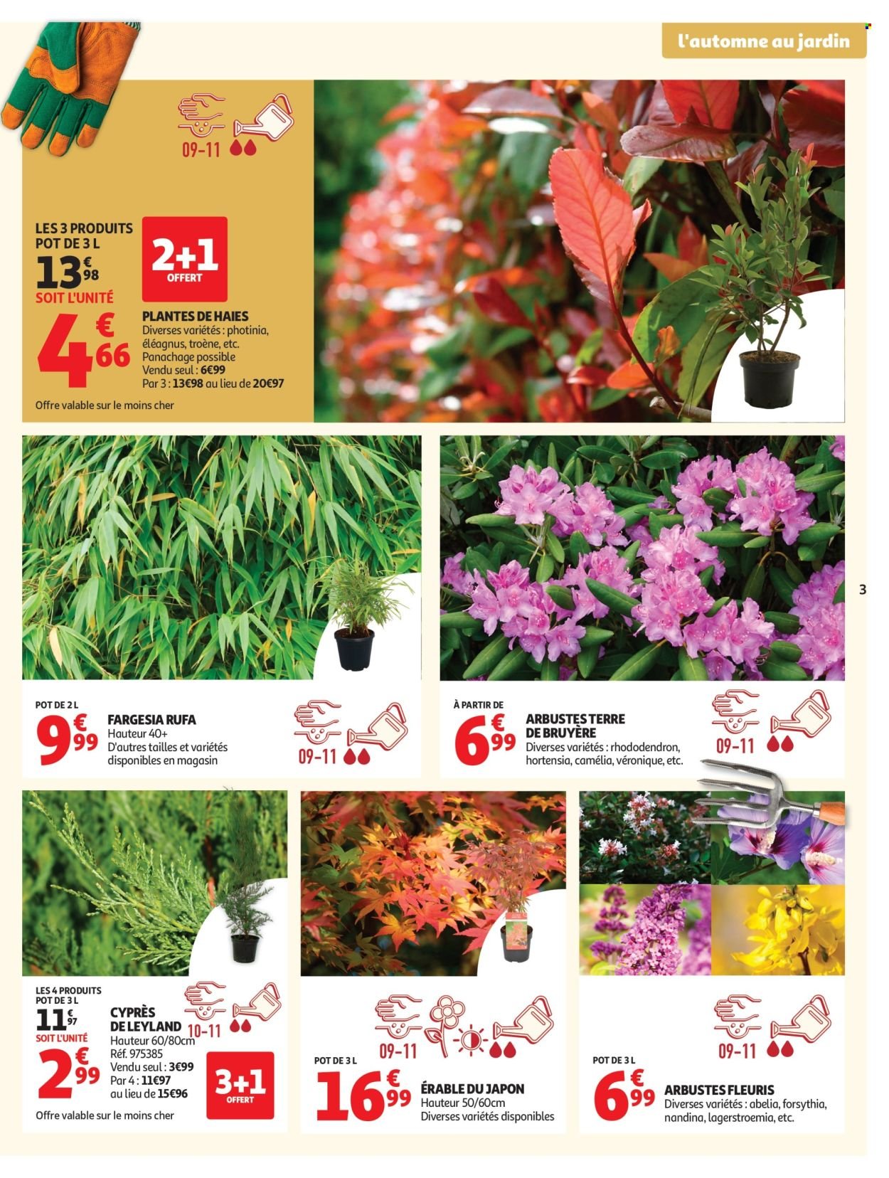 Catalogue AUCHAN - Jardinage automne
