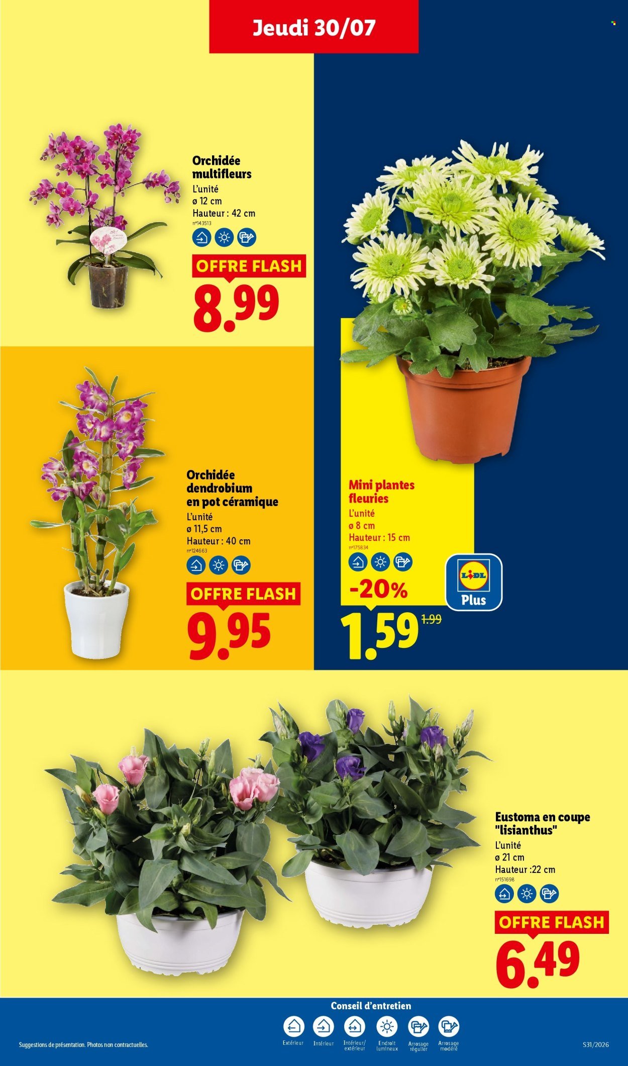 Catalogue LIDL - Les promos de la semaine