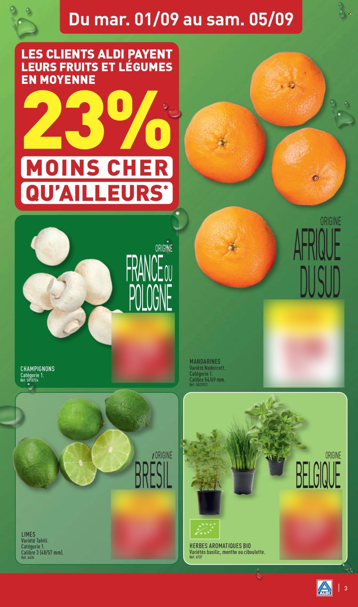 Catalogue ALDI - Les très grands arrivages