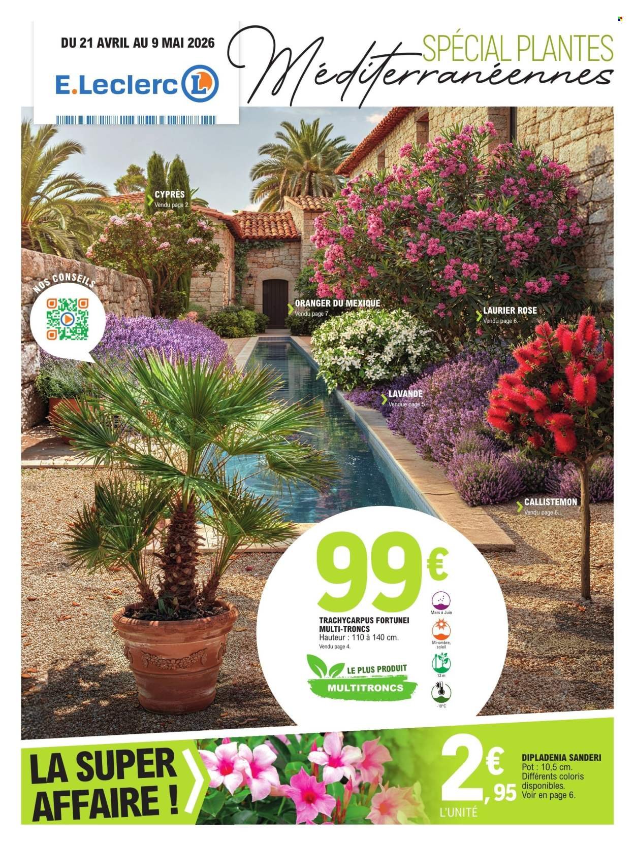 Catalogue E.LECLERC - PLANTES MEDITERRANEENNES 100% DIGITAL