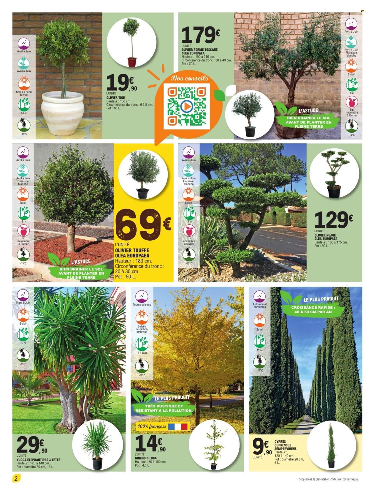 Catalogue E.LECLERC - PLANTES MEDITERRANEENNES 100% DIGITAL