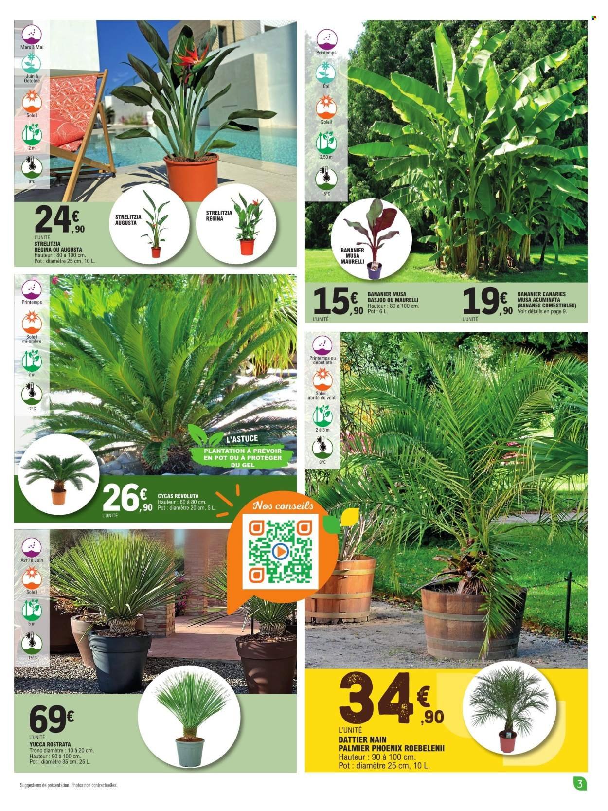 Catalogue E.LECLERC - PLANTES MEDITERRANEENNES 100% DIGITAL