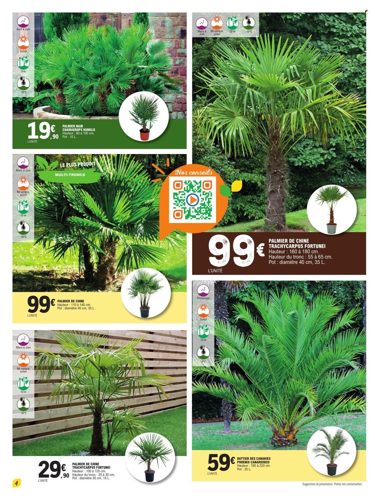 Catalogue E.LECLERC - PLANTES MEDITERRANEENNES 100% DIGITAL