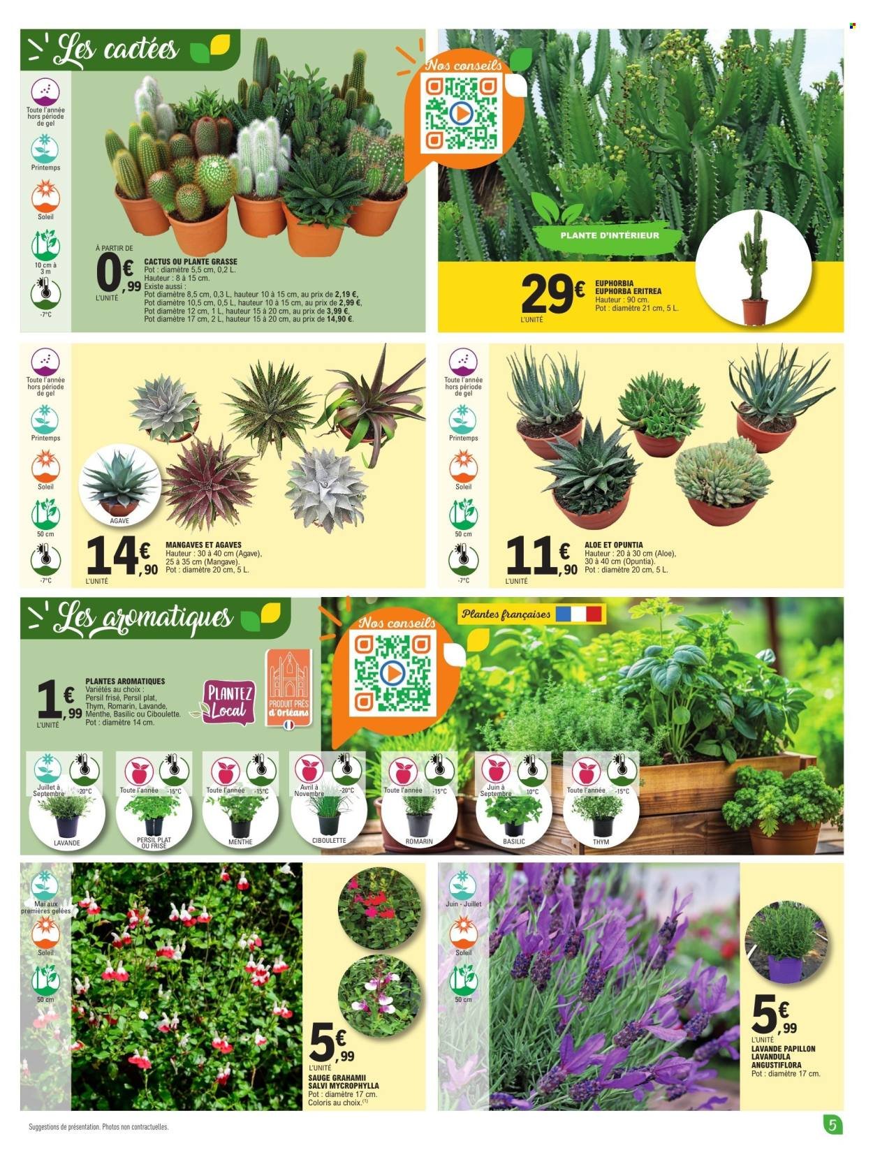 Catalogue E.LECLERC - PLANTES MEDITERRANEENNES 100% DIGITAL