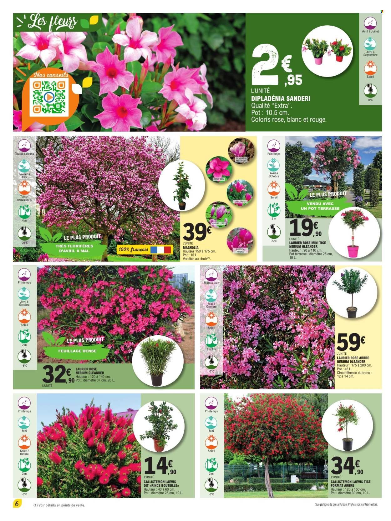 Catalogue E.LECLERC - PLANTES MEDITERRANEENNES 100% DIGITAL