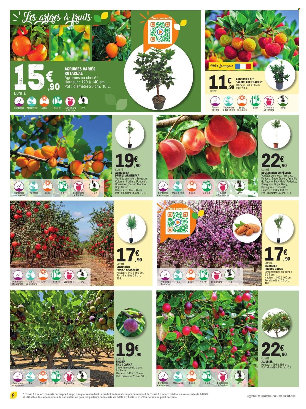 Catalogue E.LECLERC - PLANTES MEDITERRANEENNES 100% DIGITAL