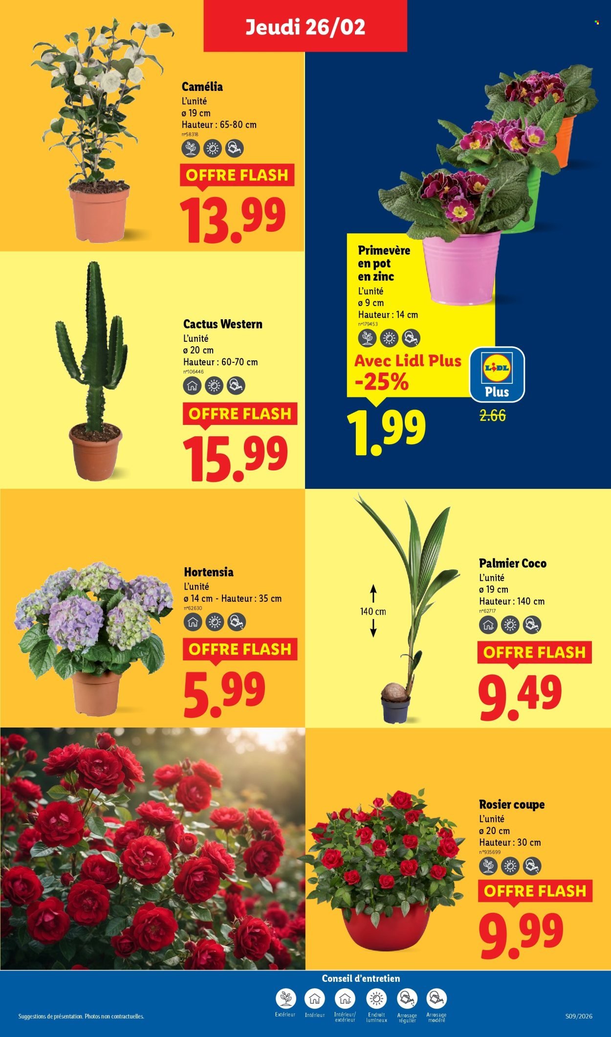 Catalogue LIDL - Les promos de la semaine (2026-02-26 - 2026-03-04)