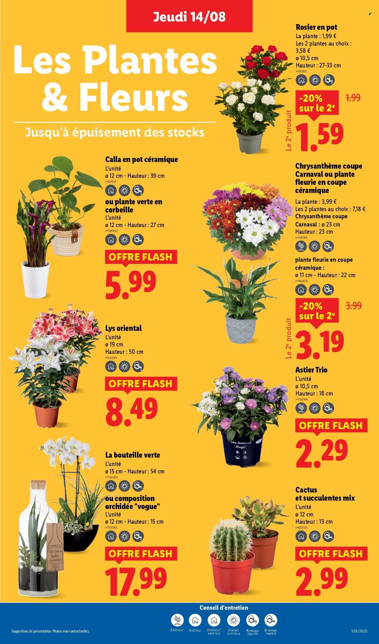 Catalogue LIDL - Les promos de la semaine (2025-08-14 - 2025-08-20)