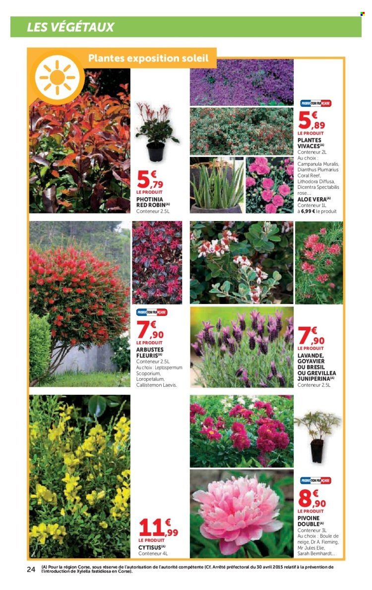 Catalogue HYPER U - Le plein air à prix bas (2026-03-24 - 2026-04-19)