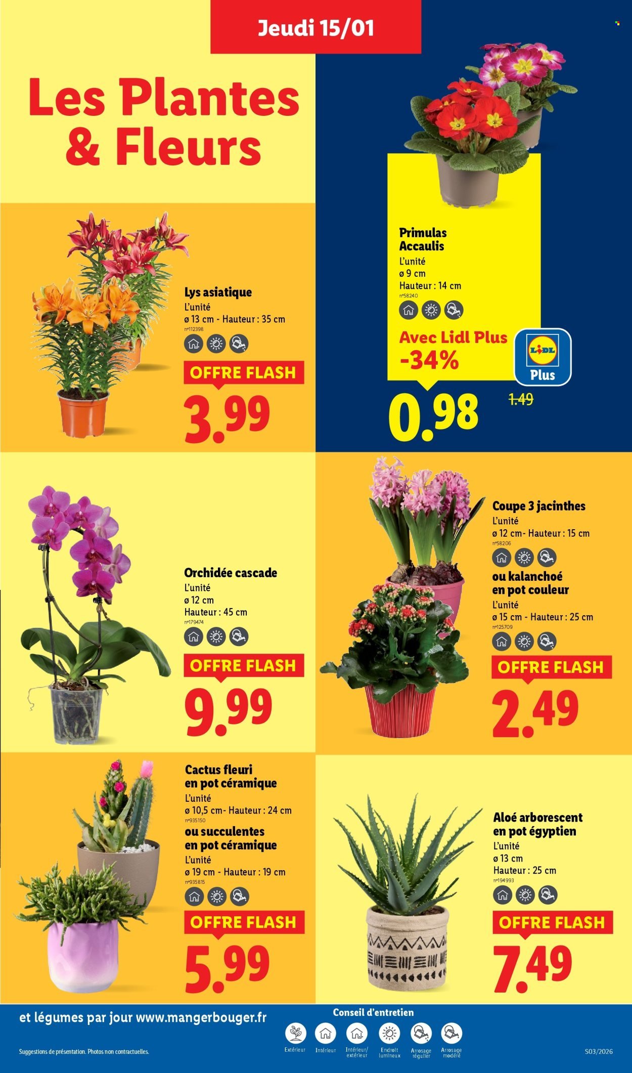 Catalogue LIDL - Les promos de la semaine (2026-01-15 - 2026-01-21)