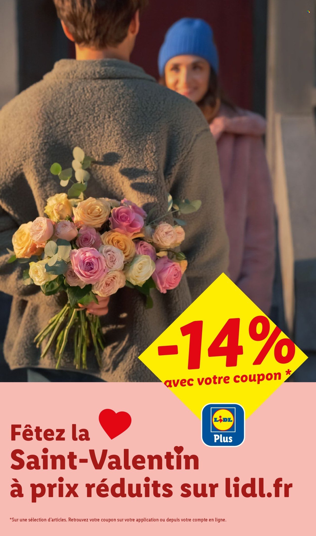 Catalogue LIDL - Les promos de la semaine