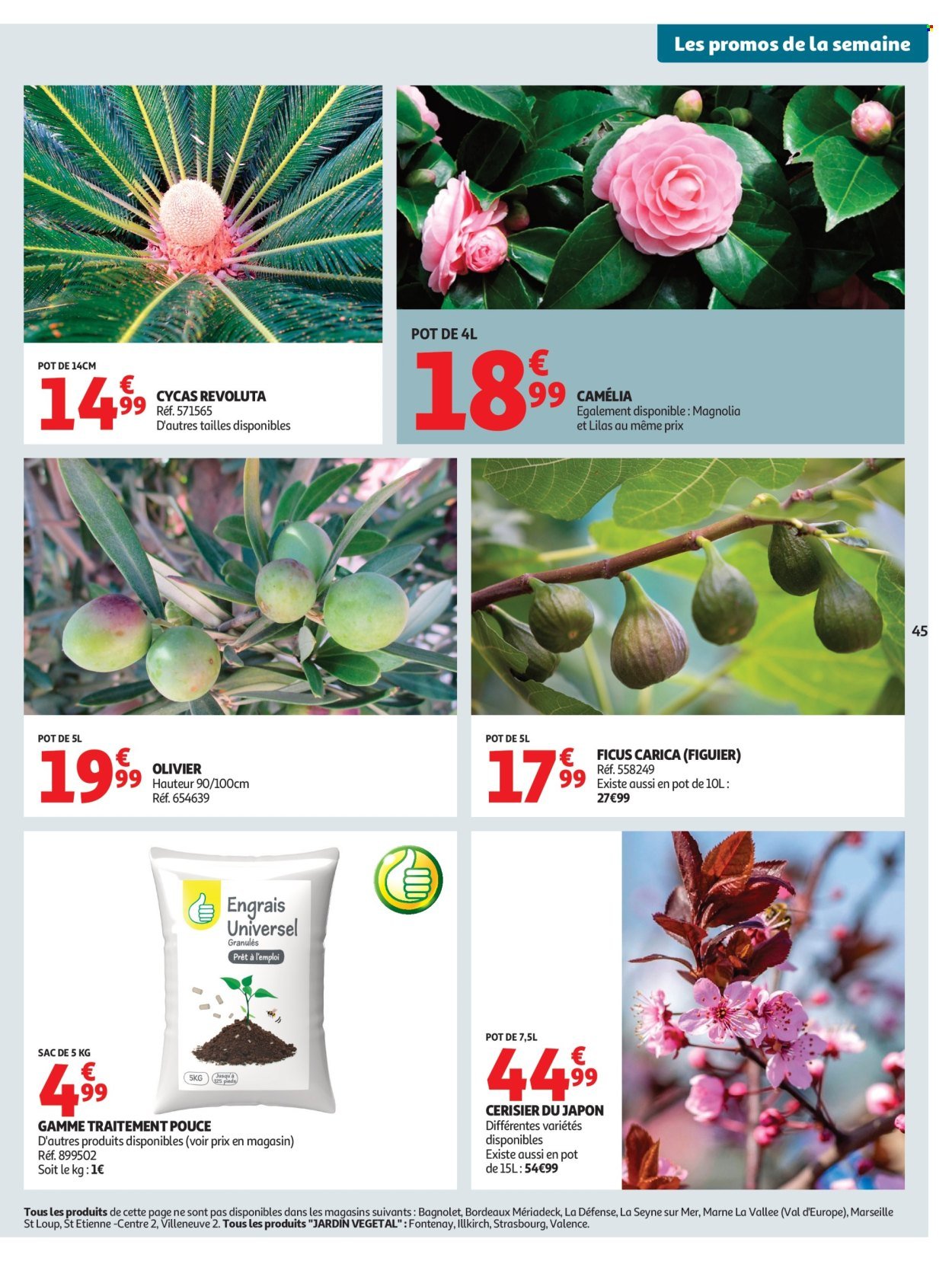 Catalogue AUCHAN - Pâques, halles printemps (2026-03-17 - 2026-03-22)