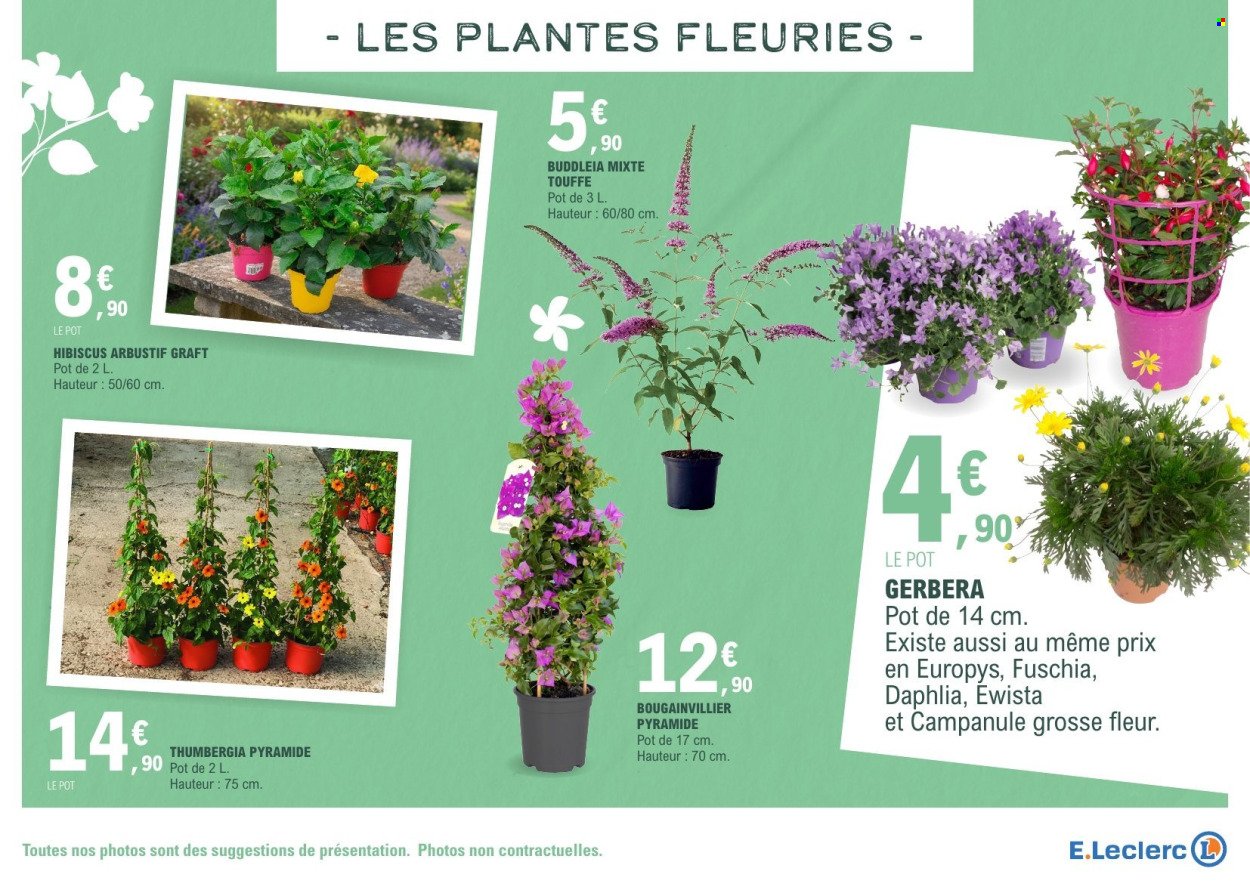 Catalogue E.LECLERC - VEGETAUX (2026-03-17 - 2026-03-28)
