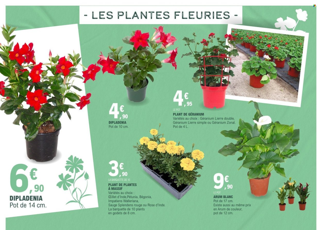 Catalogue E.LECLERC - VEGETAUX (2026-03-17 - 2026-03-28)