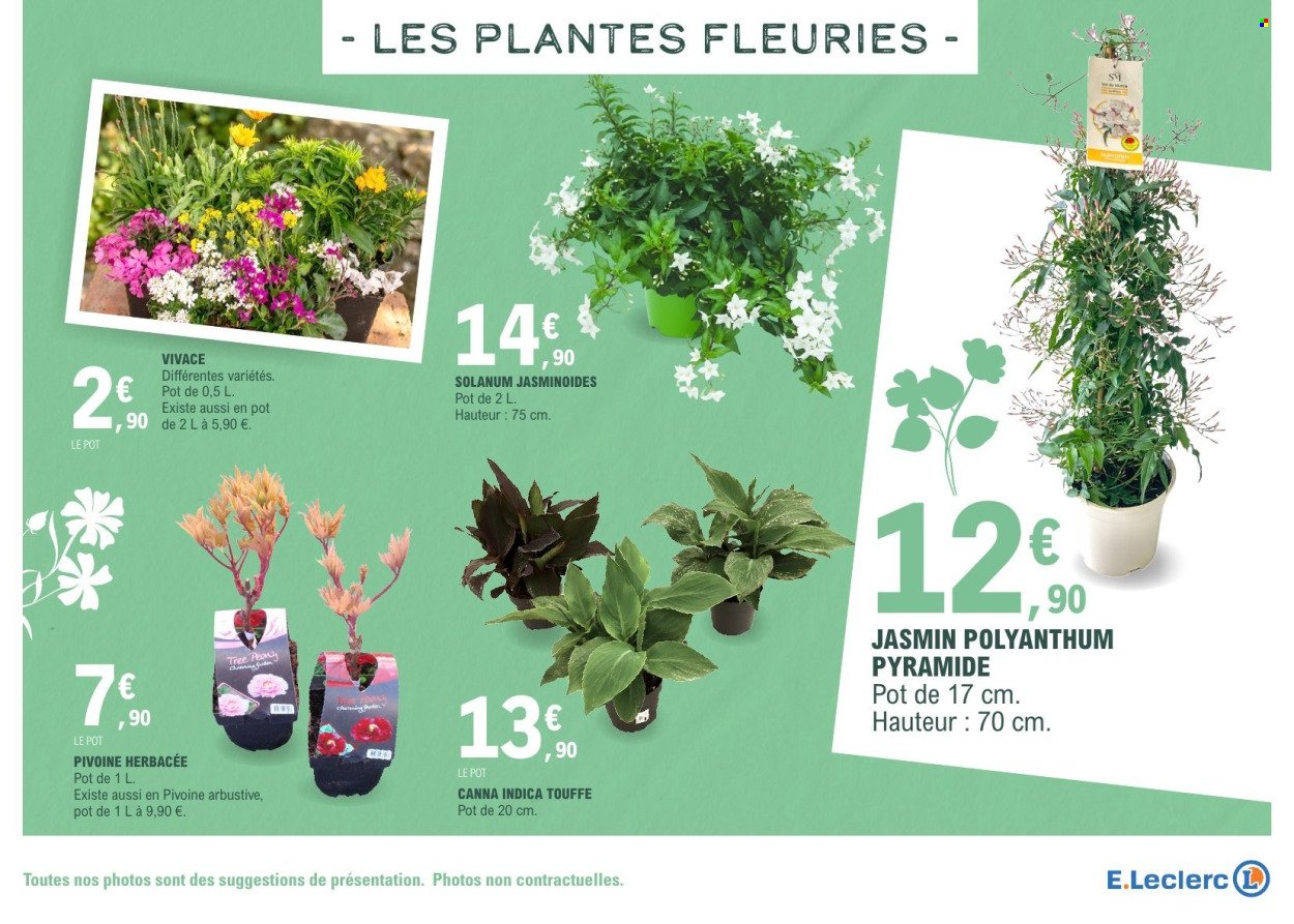 Catalogue E.LECLERC - VEGETAUX (2026-03-17 - 2026-03-28)